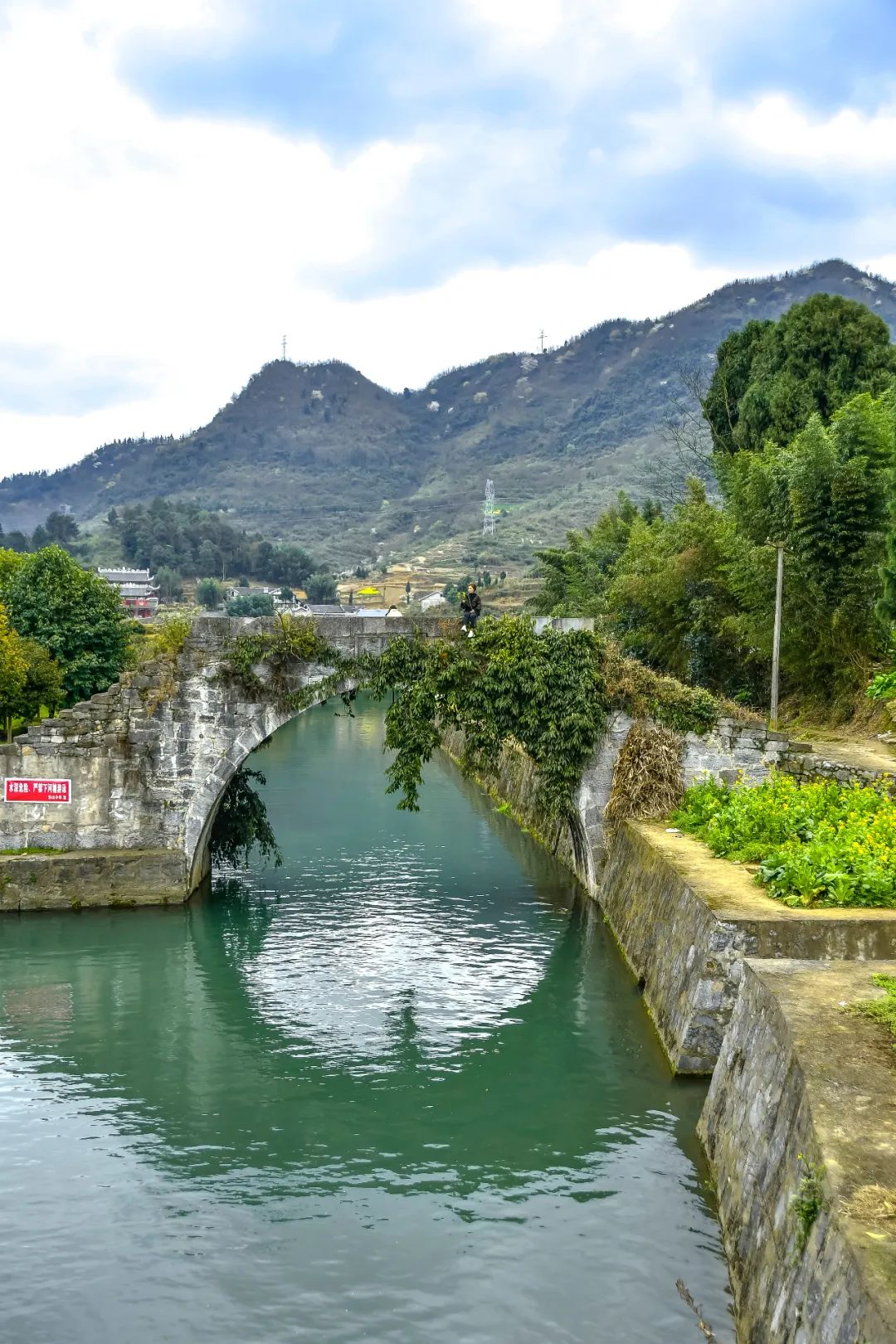 云赏花│播州春色屏保美图来了太漂亮了建议收藏