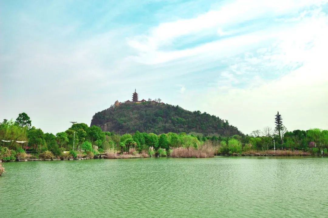 摄影师拍摄之时刚巧有只小狗闯入镜头进入狼山景区,草坪上有一座狼