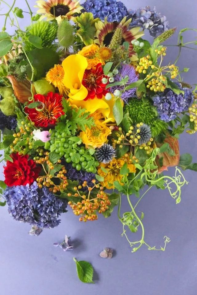 花艺色彩搭配的基本法则看完秒懂