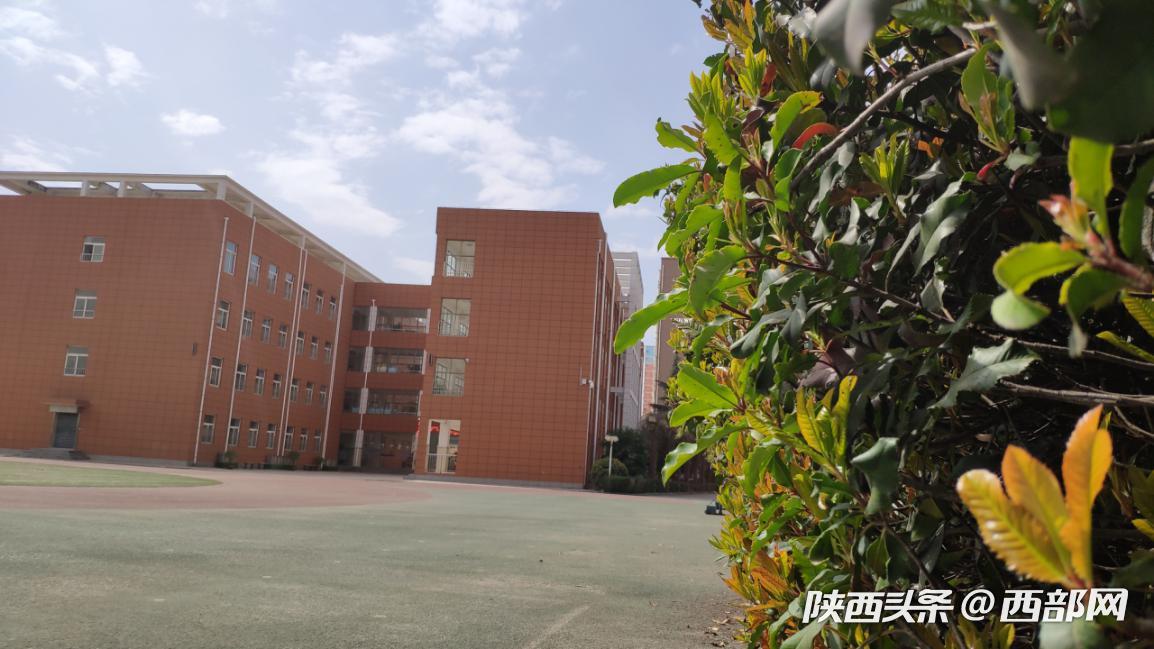 宝鸡高新第一小学满园春色关不住只为等着你归来