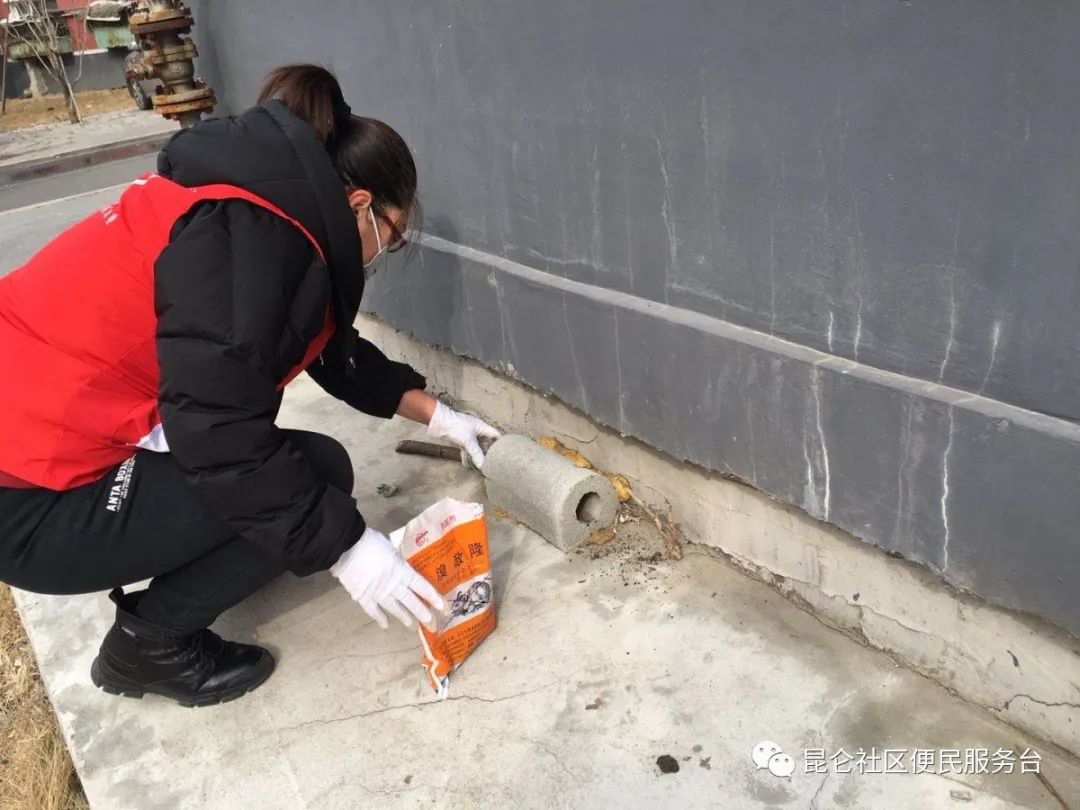 东风街道昆仑社区开展环境卫生周活动集中投放鼠药