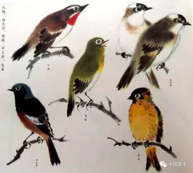 国画禽鸟画法大全实用收藏