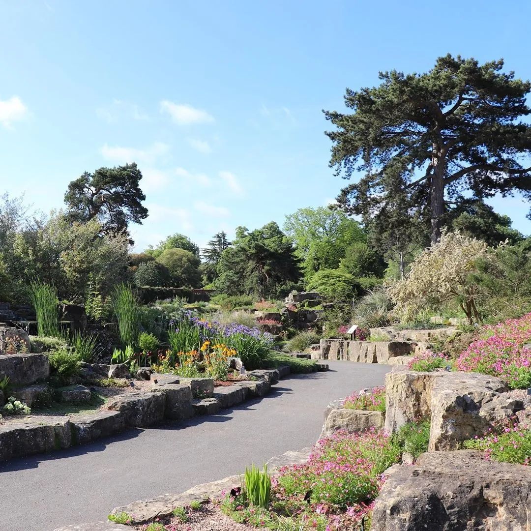 岩石花园岩石里的大自然竟能美成这样