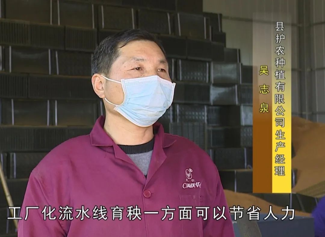 全省县级之首我县建成7个工厂化育秧基地