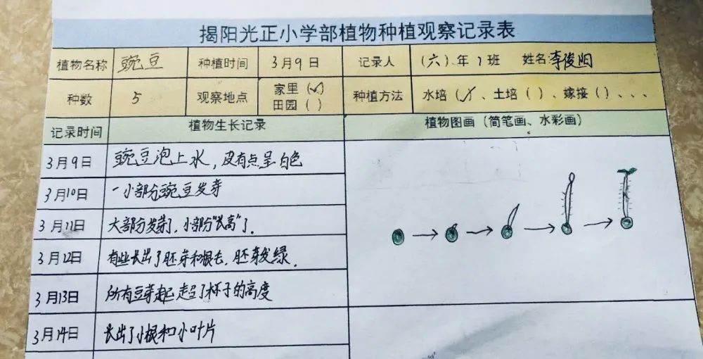 植树节活动记录表图片