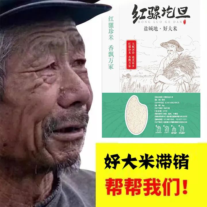 急急急20万斤大米滞销请您伸出援手