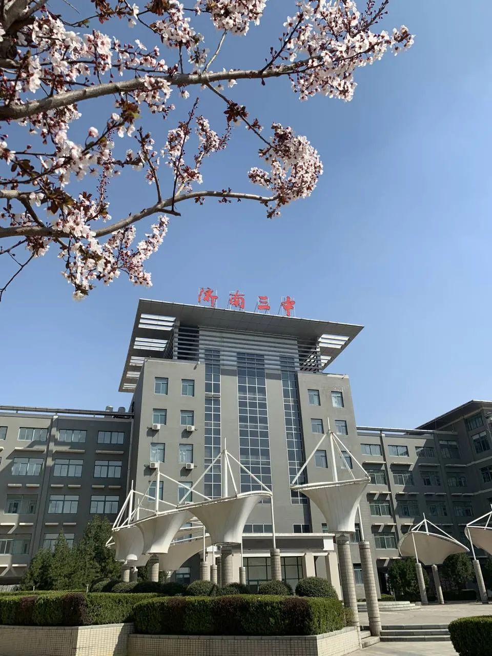 校园广记 | 济南三中校园春意绽放