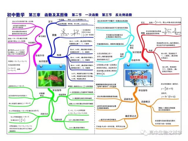 初中思维导图图片大全!物理英语历史生物化学地理(图33)