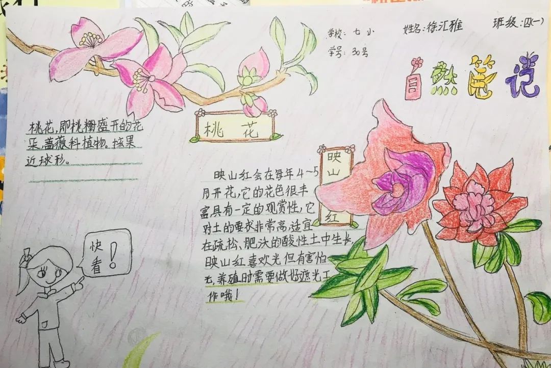 梅花自然笔记怎么画图片