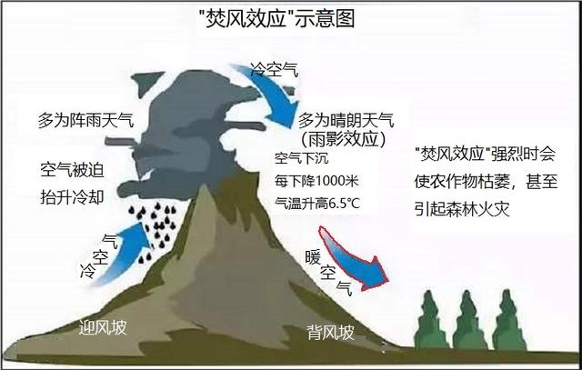 比如"热岛效应"和"湿岛效应",主要是由集中大量人类活动的城市对气候