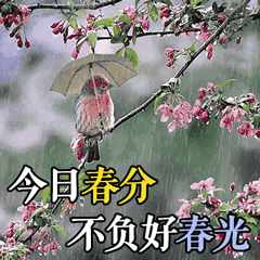 春分节气的动态微信表情图