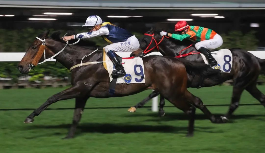 跑马地赛事波健士首进香港凯旋门