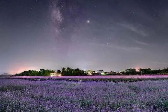 最亮的星星李爽霞用最美的歌声颂扬抗疫英雄