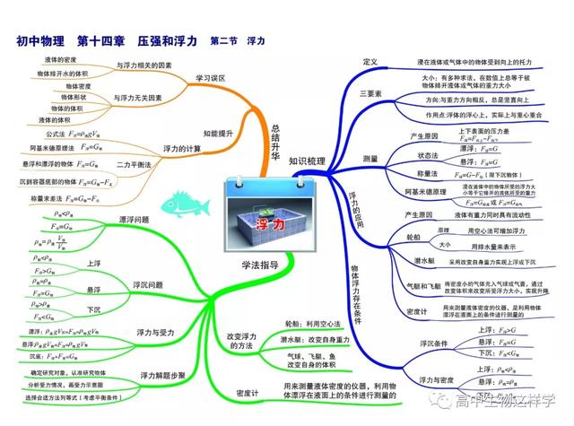 初中思维导图图片大全!物理英语历史生物化学地理(图79)