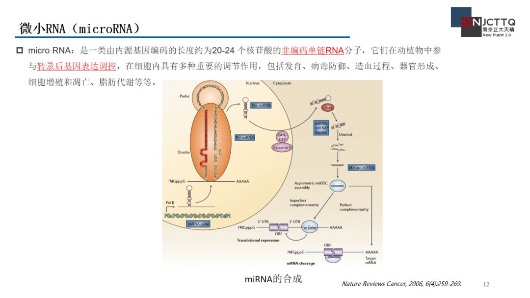 分享|小核酸药物的研发现状_sirna