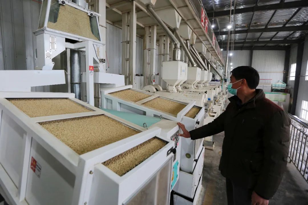 手中有粮心中不慌当阳粮食加工企业有序复工