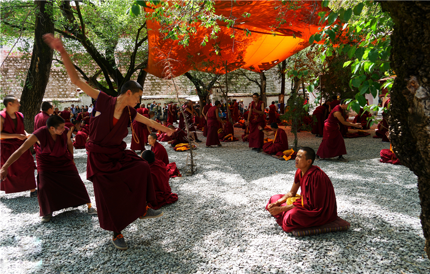 实拍拉萨色拉寺激烈的辩经场面是西藏最值得欣赏的人文景观