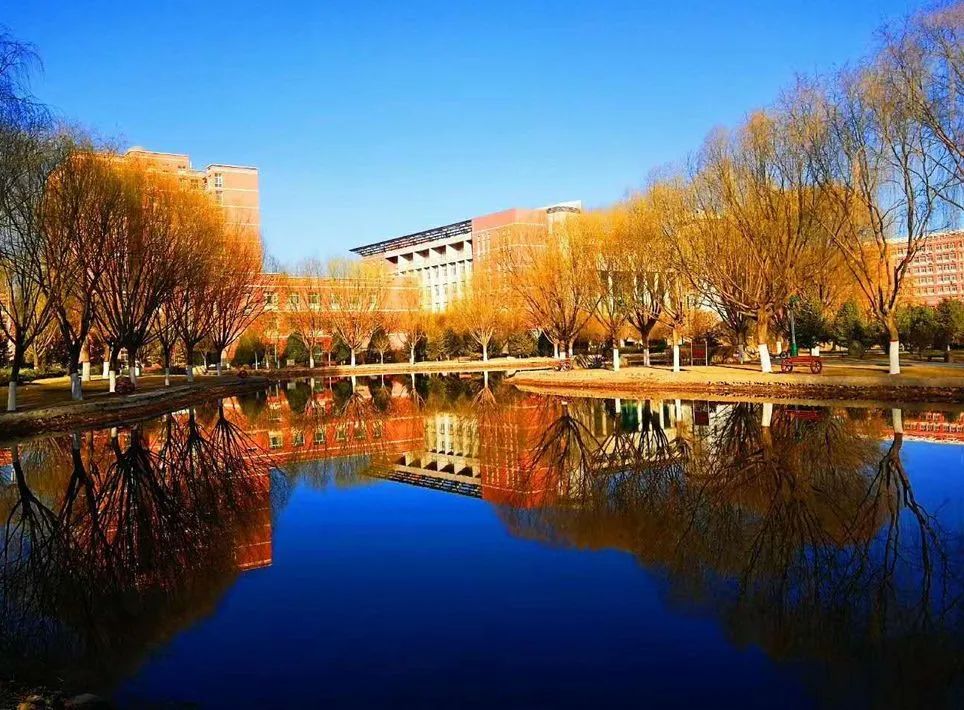 拼图版河西学院 