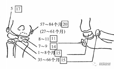 肘关节骨骺图图片