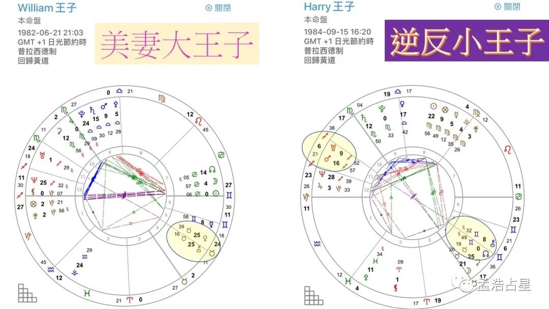 孟大人占星教学视频凯龙星5宫英国王室四皇储