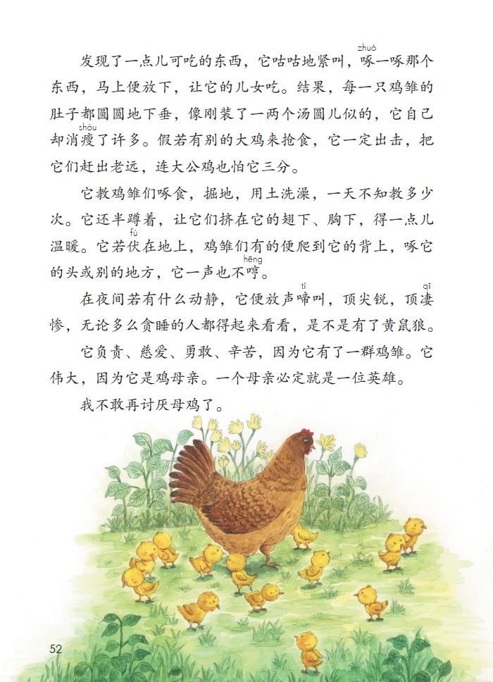 母鸡课文 插图图片