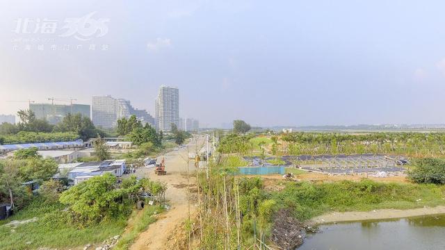 濱江路(銀灘大道-情人島)