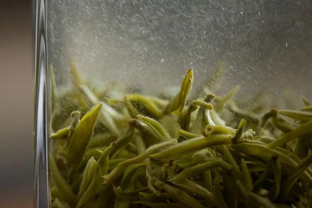 茶毫越多的茶,品质就越高吗?