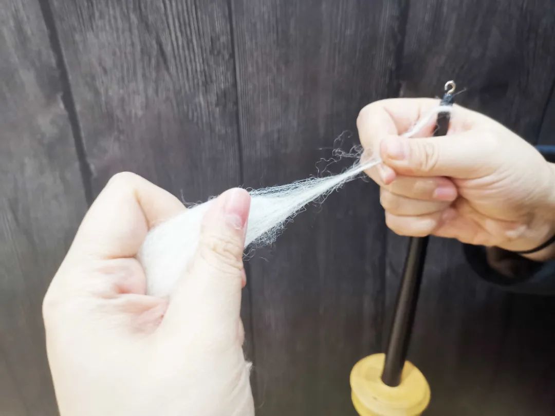 一边纺线一边要从卷好的筒状羊毛中抽出新的羊毛接上.