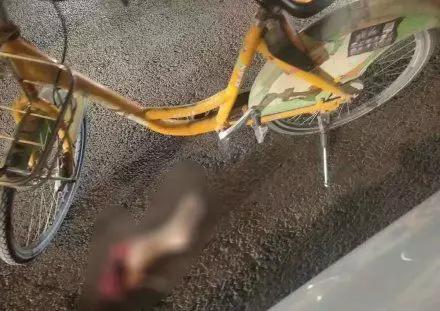 两桩命案刷屏两名儿童惨死比凶手更恶毒的是旁观者的无知