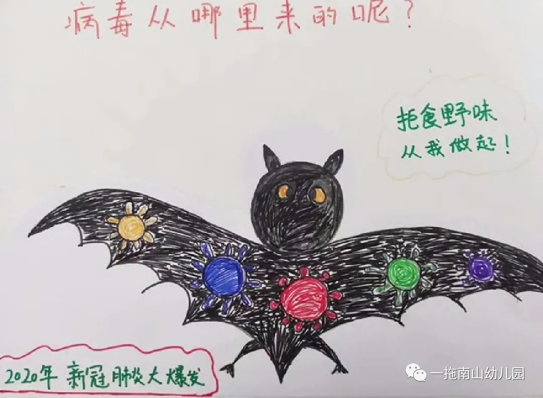 疫情蝙蝠绘画图片