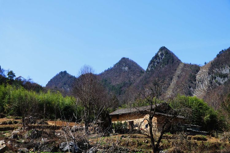 旬阳:春到羊山_旬阳县