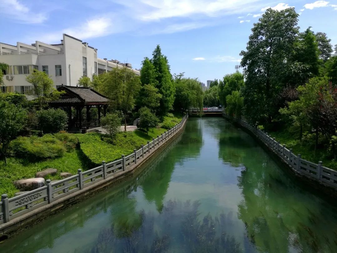 疫情防控城管在行动二百七十二世界水日杭州城市河道邀您护水种树啦