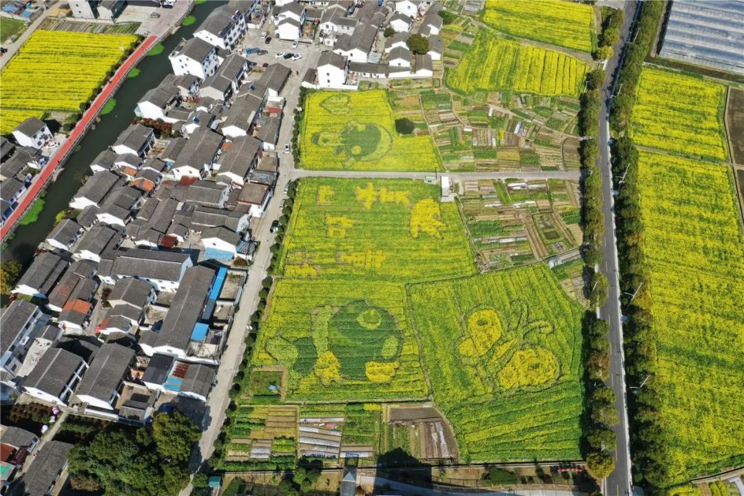 美麗鄞州鄉村遊 · 姜山 || 田園姜山 ·人文古村遊_蔡郎橋