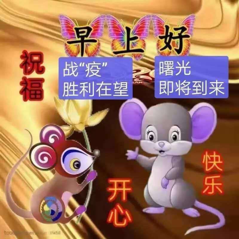 早上好的問候語圖片表情大全今日早安圖片祝福