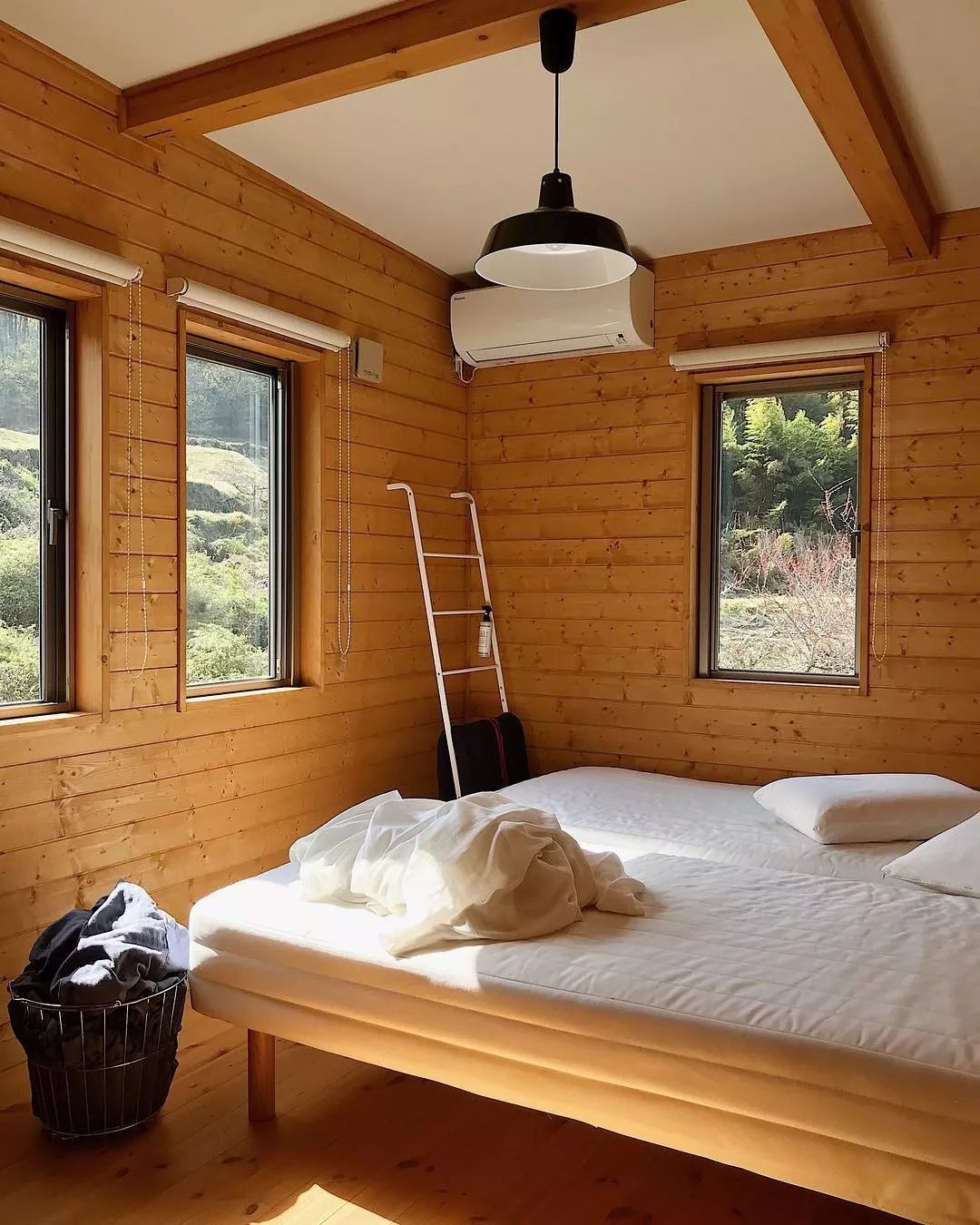 一家四口乡下生活曝光山野为伴鲜花为友网友这才是我向往的生活