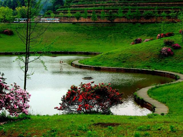 美爆了!成都这个地方花已成海,赏花,玩水,随你便
