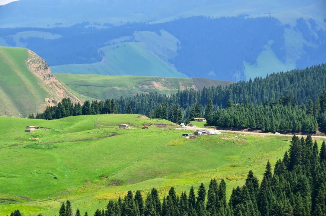 新疆伊犁有个美丽的村庄沿途风景绝美壮观免门票游客少