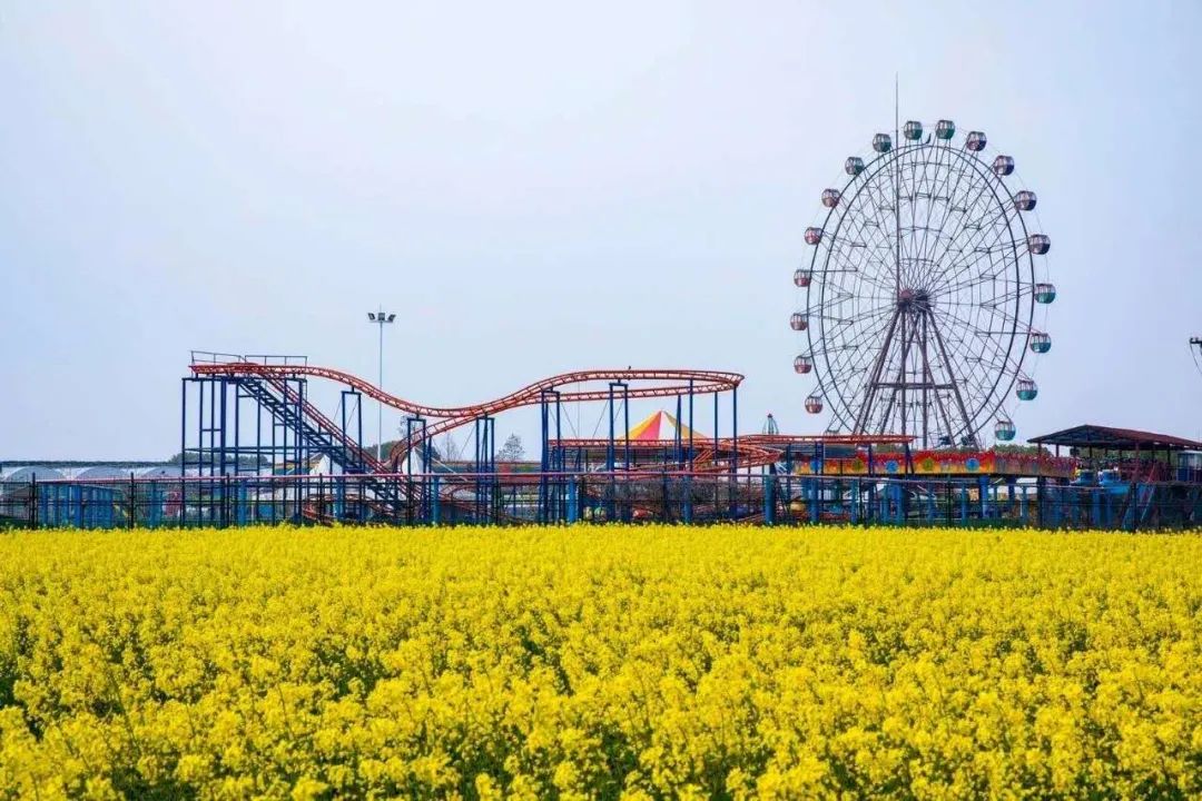 地址:宁波-达人村