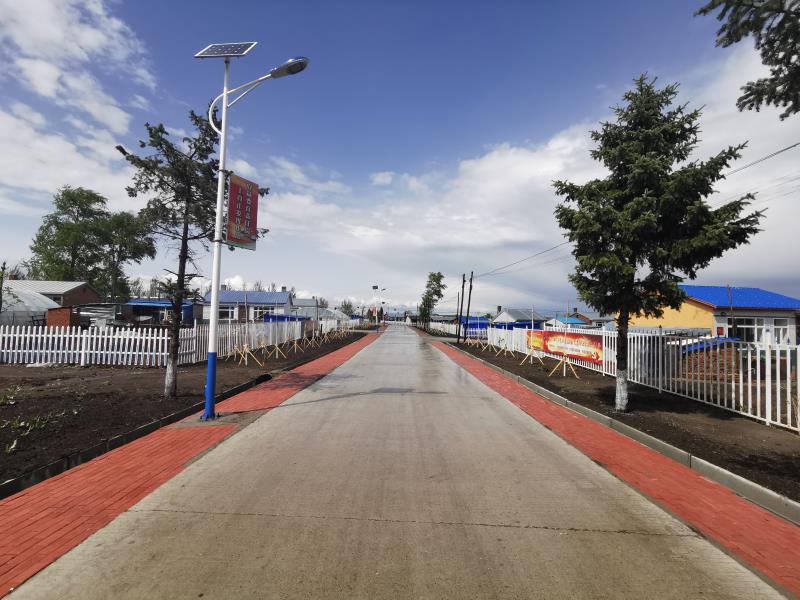 原创黑龙江拜泉县全力打好乡村振兴战略第一场硬仗