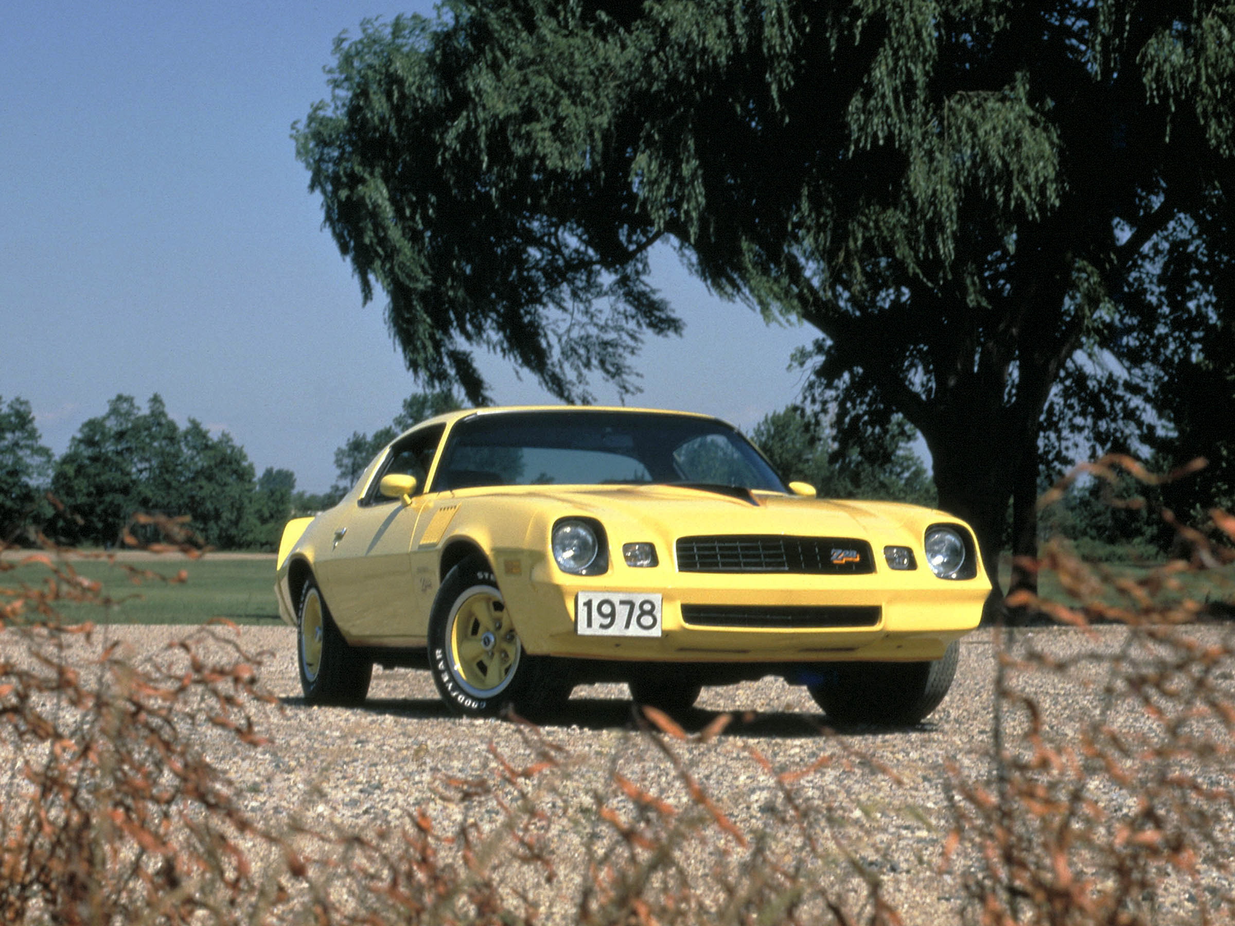 第二代"大黄蜂"?美系肌肉控福利,干货知识点