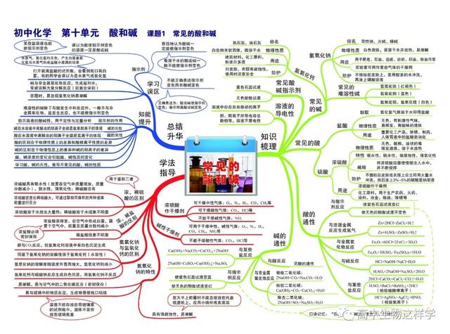 初中思维导图图片大全!物理英语历史生物化学地理(图110)