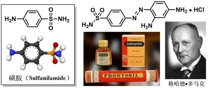 源于染料的抗菌药百浪多息prontosil