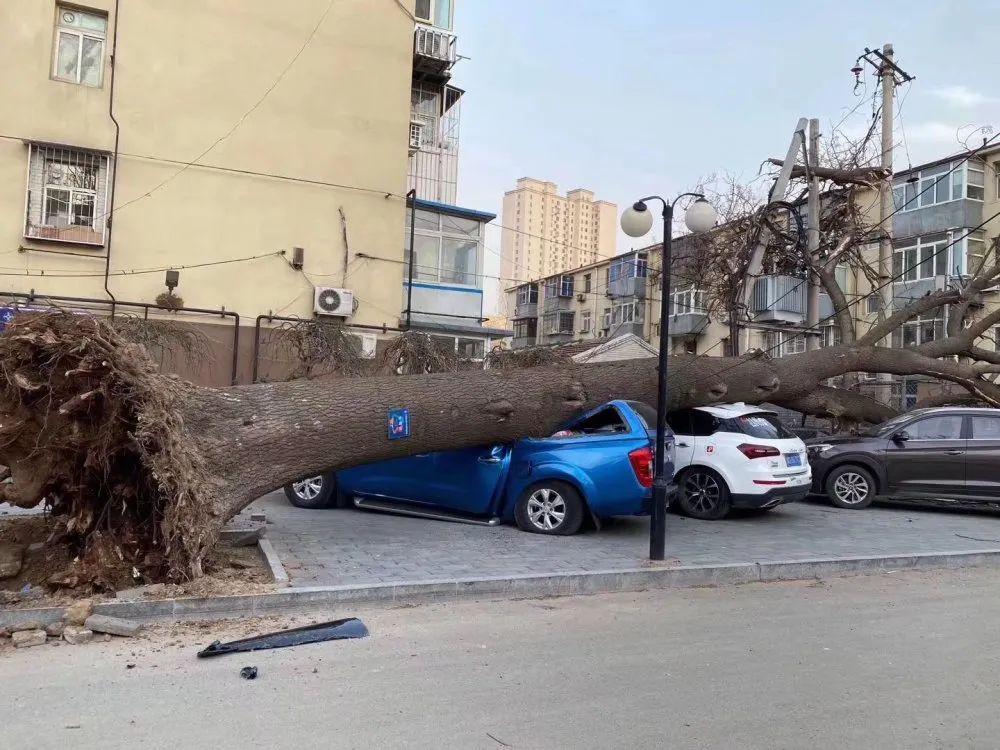 房子跑了車砸了著火了唐山的大風看看你都幹了啥