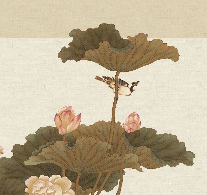 云赏析|清 沈铨《荷花鸳鸯图》立轴