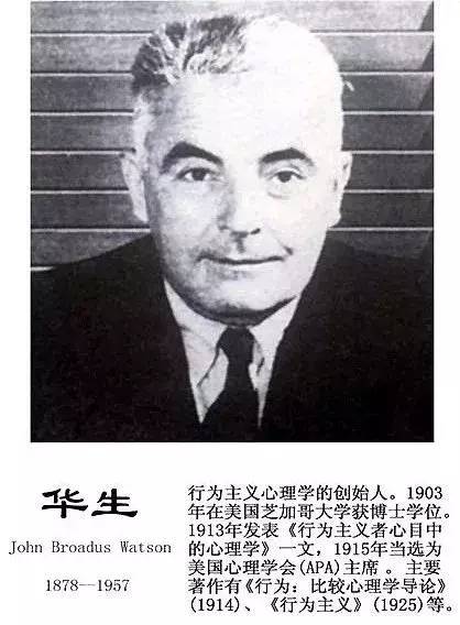 心理学家的3个孩子竟然得了抑郁症：母爱的本质是什么？_哈洛