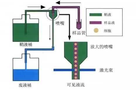 一文走近流式细胞仪