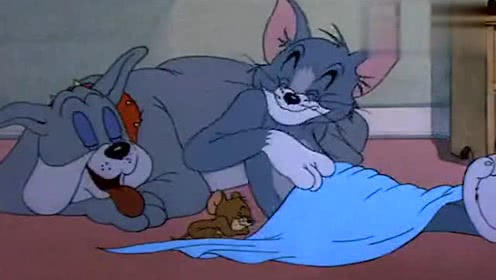 猫和老鼠猫狗鼠三个躺在一起睡觉太温馨了