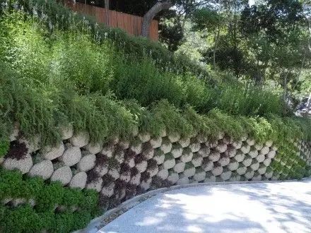绿化土坡造型技巧图片