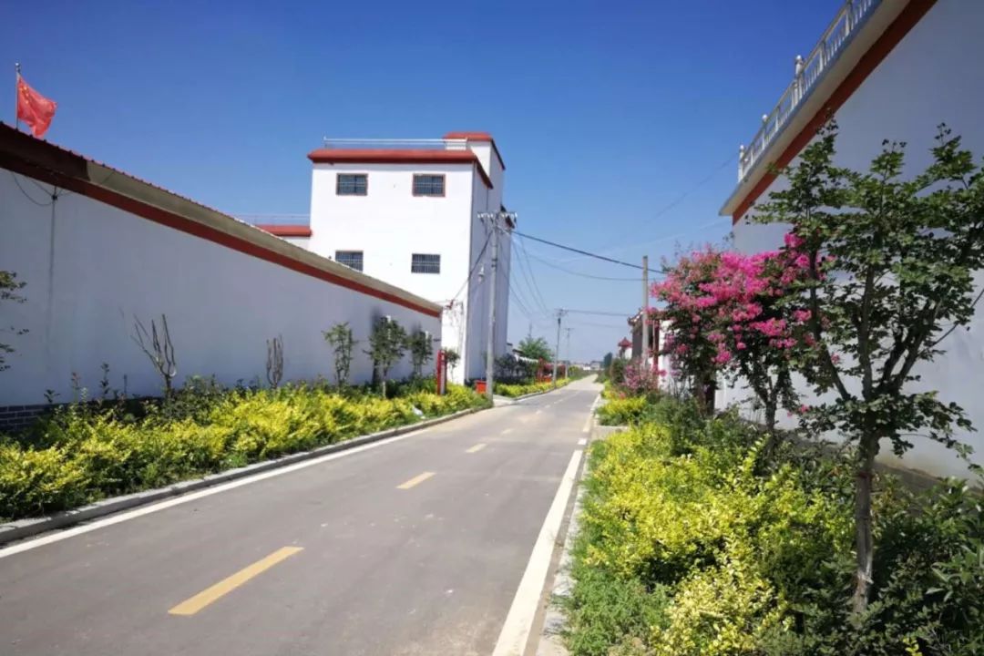 小康路上——上蔡县脱贫攻坚工作综述