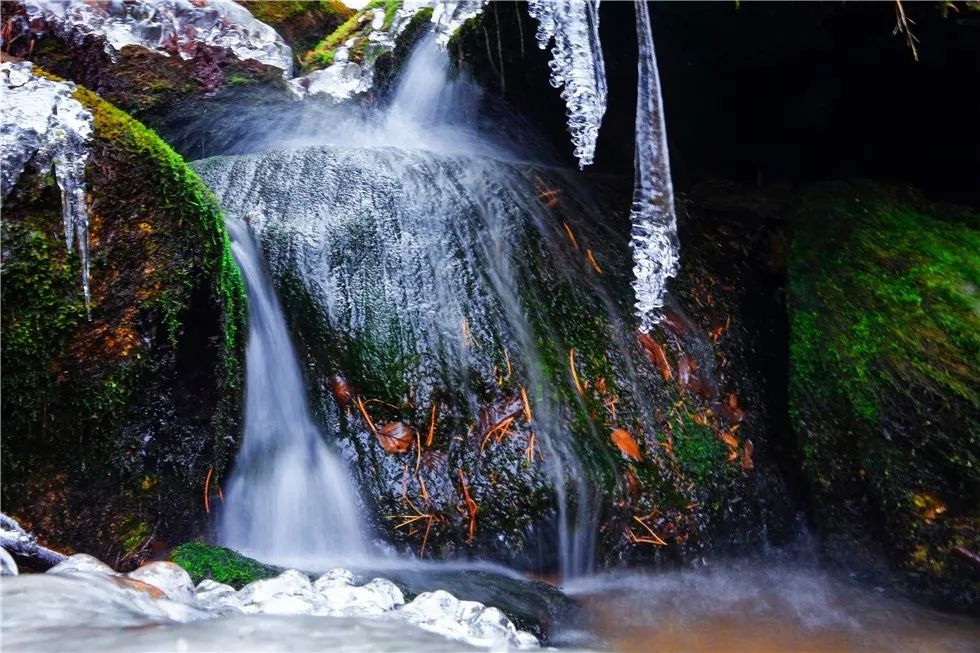 岭秀兴安大美箐山任彦力摄影佳片赏析